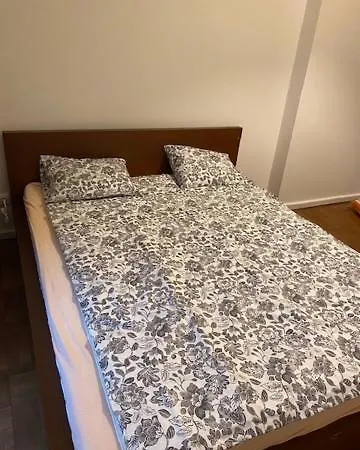 Large 3 Bedroom Family Close To The River Apartmán Praha